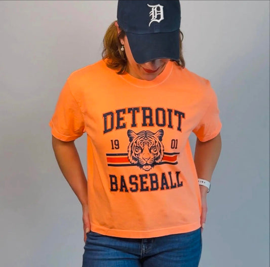 Detroit Baseball Vintage TShirt